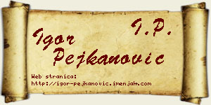 Igor Pejkanović vizit kartica